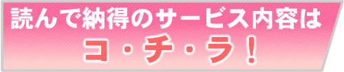 �ܤ��������ӥ�����